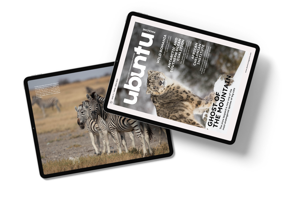 Magazine layout voor Ubuntu Magazine. Magazine vormgeving. Natuur en wildlife bescherming. Cover layout magazine.